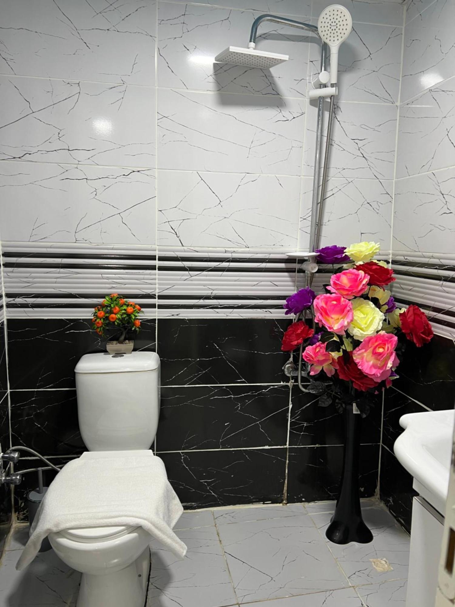 Sultanahmet Blue Apart Hotel Istanbul Luaran gambar